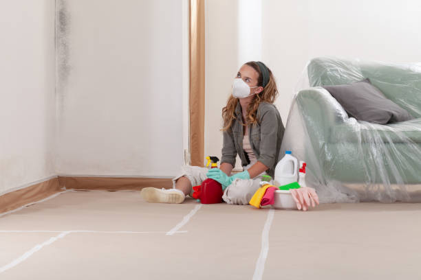 Reliable Mold Testing contractor in Nottingham, PA by WQB Mold Removal
